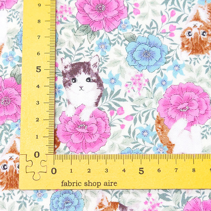 猫 花柄 オックス 生地 綿100% 110cm幅