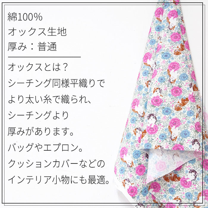 猫 花柄 オックス 生地 綿100% 110cm幅