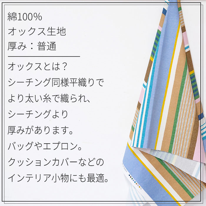 ダイナミックストライプ オックス 生地 綿100％ 110cm幅