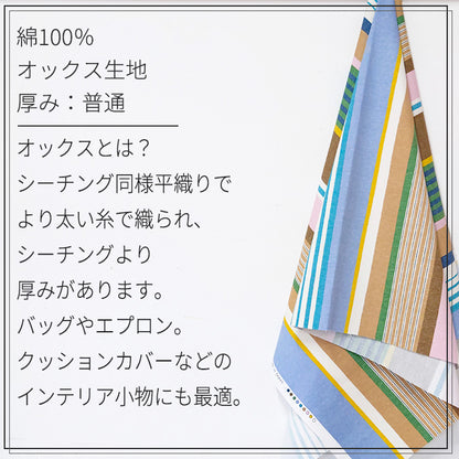 ダイナミックストライプ オックス 生地 綿100％ 110cm幅