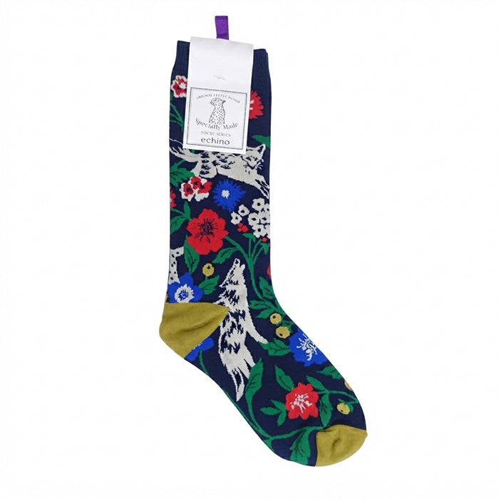 echino socks 靴下 D:wonder